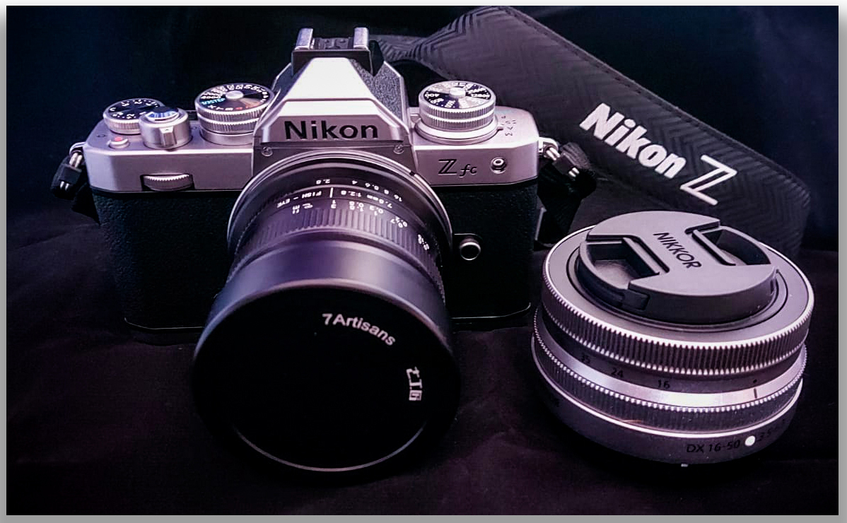 My Nikon Zfc! - Goutham Ramesh