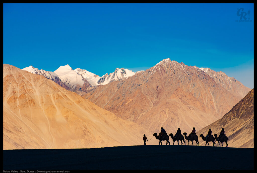 Ladakh to develop Sumoor desert, upgrade Nubra valley for tourists