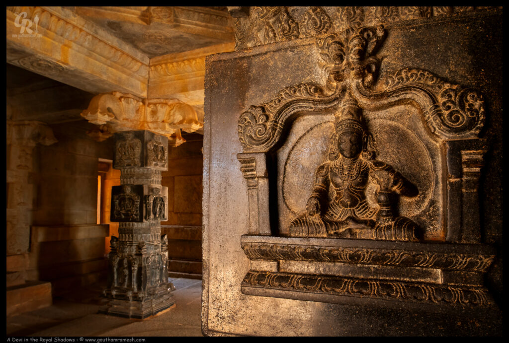 A Devi in the Royal Shadows