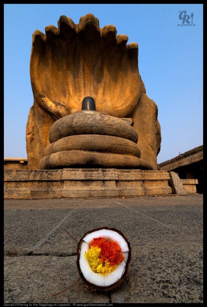 Sacred Offering to the Nagalinga at Lepakshi