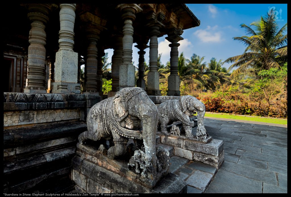 Guardians in Stone: Elephant Sculptures of Halebeedu's Jain Temple