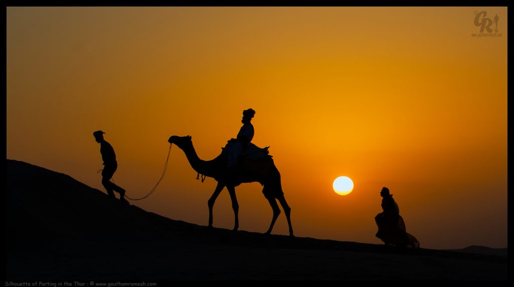 Silhouette of Parting in the Thar