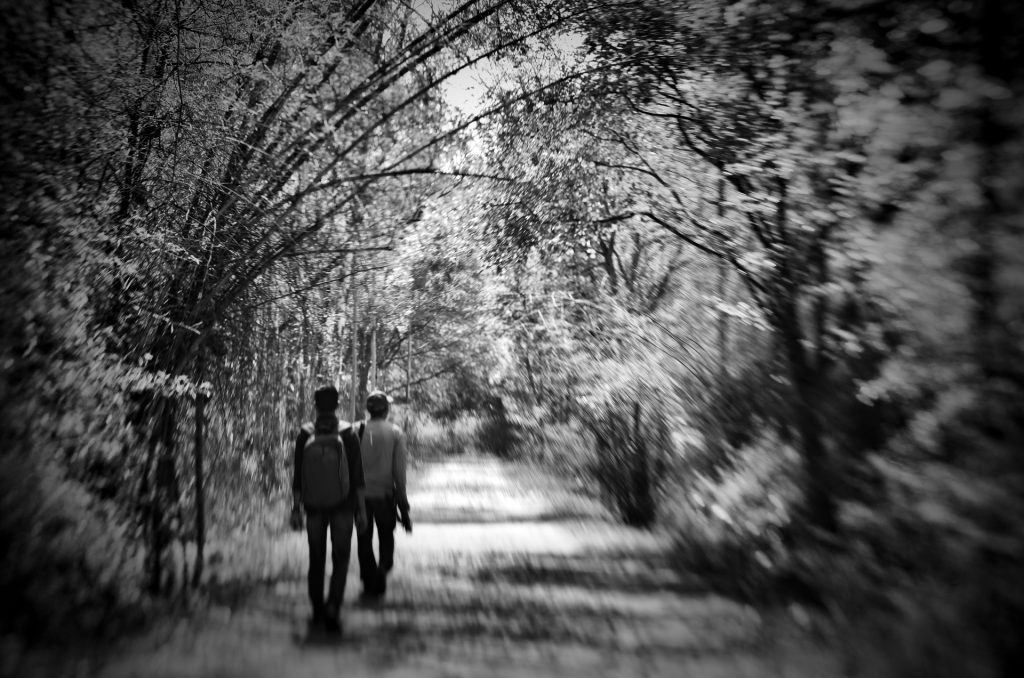 Walking Together