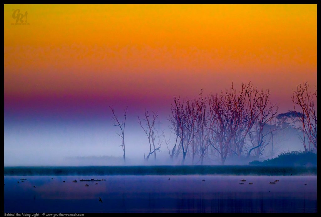 Behind the Rising Light