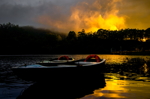 Boats at Sunset , Munnar